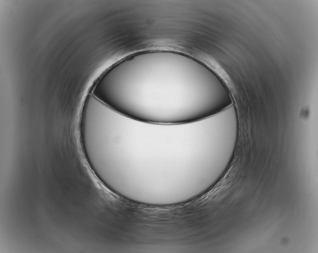 X0000098041144200804181249