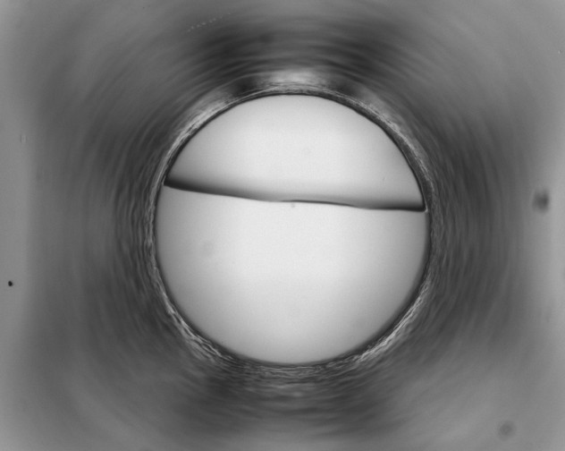 X0000098041145200804181249