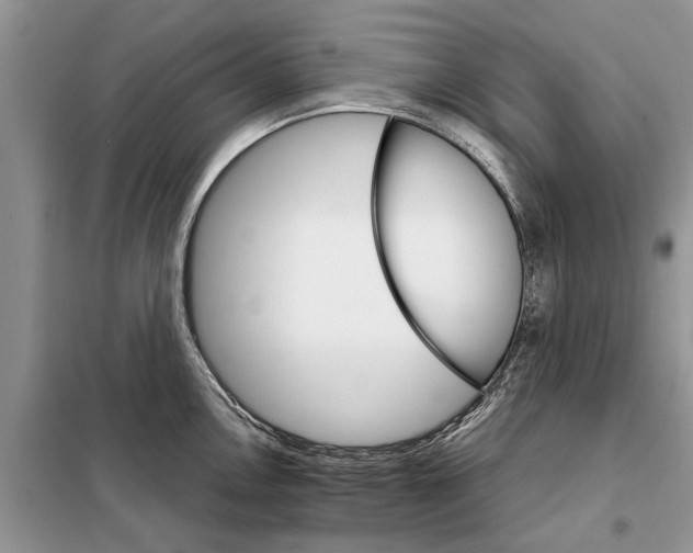 X0000098041146200804181249