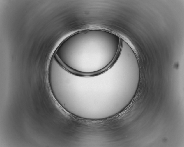 X0000098041148200804181249