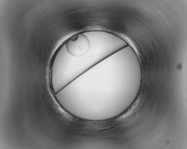 X0000098041149200804181249