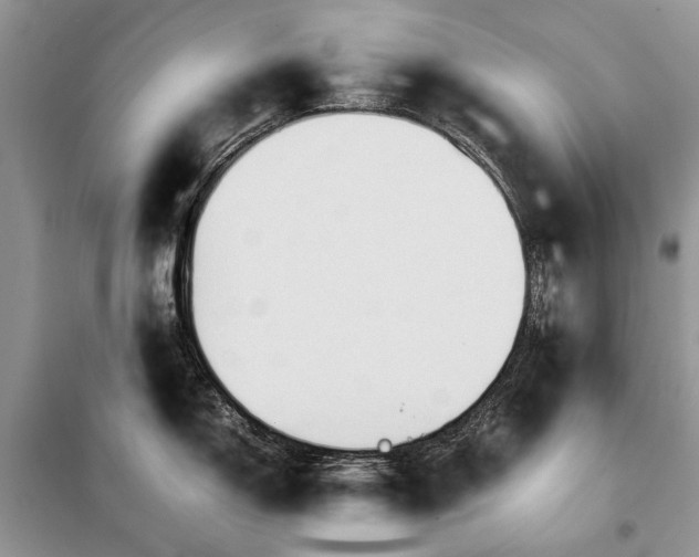 X0000098041150200804181249