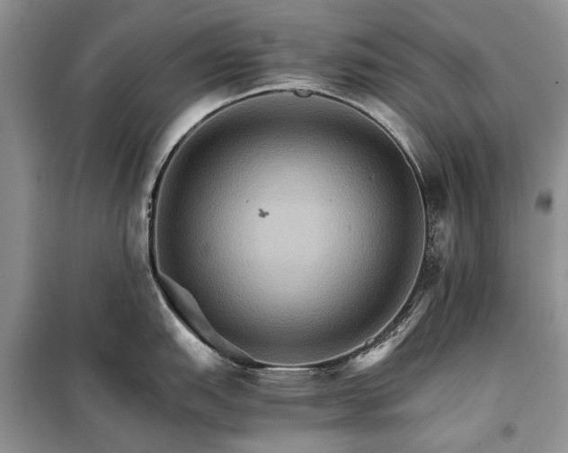 X0000098041151200804181249