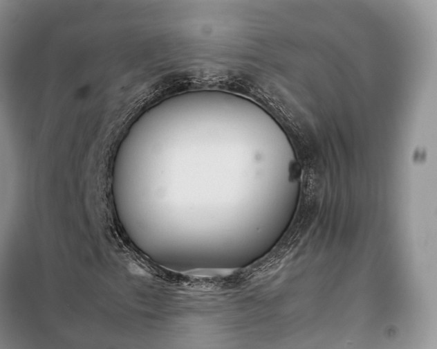 X0000098041153200804181248