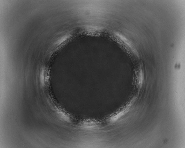 X0000098041154200804181248