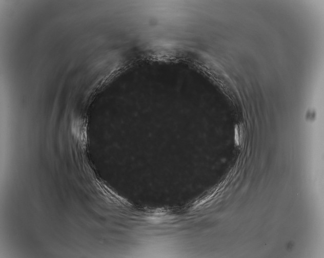 X0000098041155200804181248