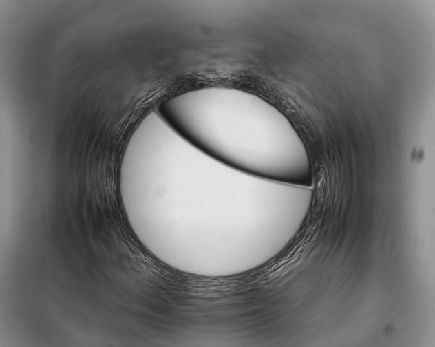 X0000098041156200804181248