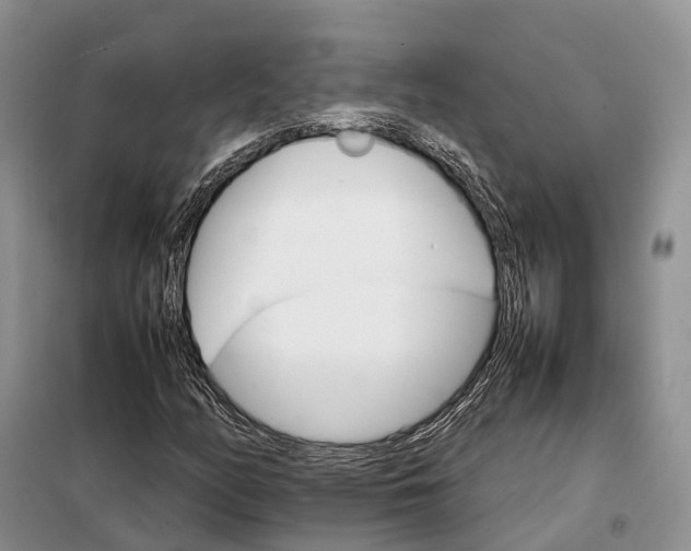 X0000098041158200804181248