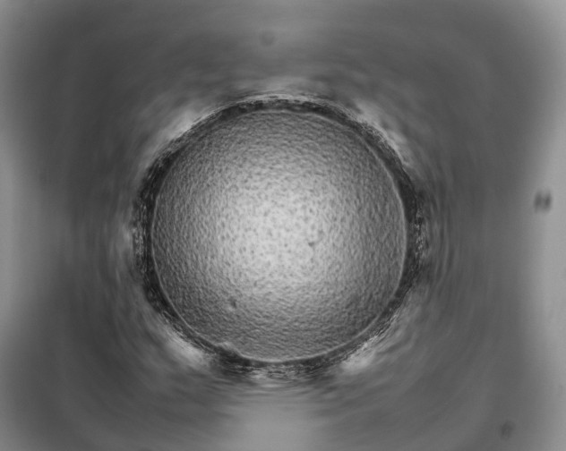 X0000098041159200804181248