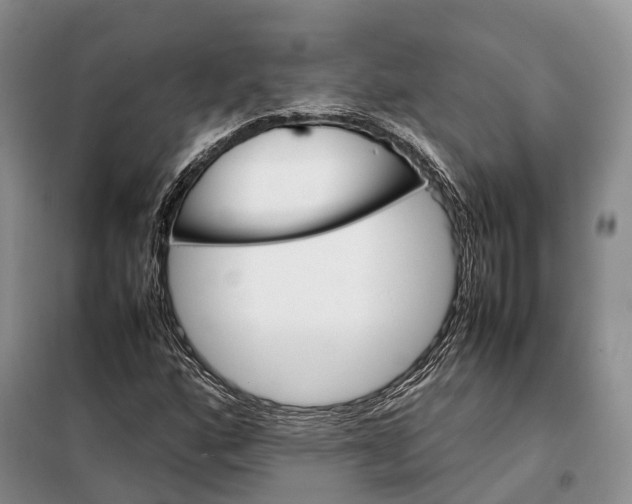 X0000098041160200804181248