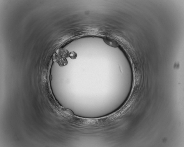 X0000098041161200804181248