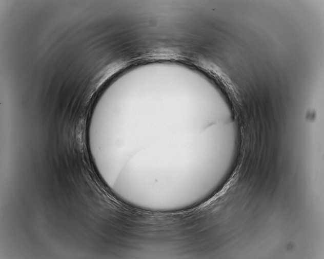 X0000098041162200804181248