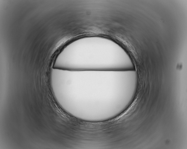 X0000098041163200804181248