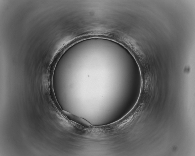 X0000098041164200804181248