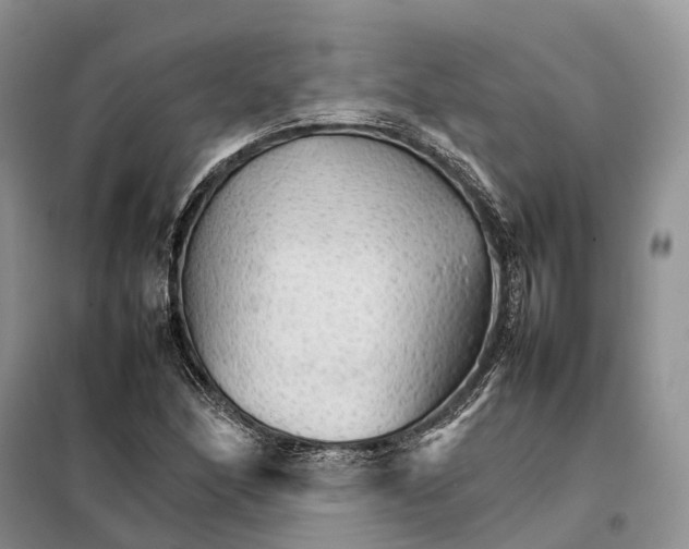 X0000098041166200804181248