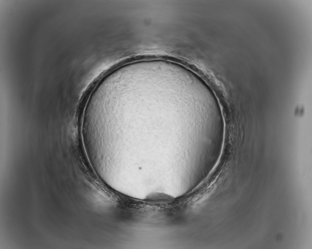 X0000098041167200804181248