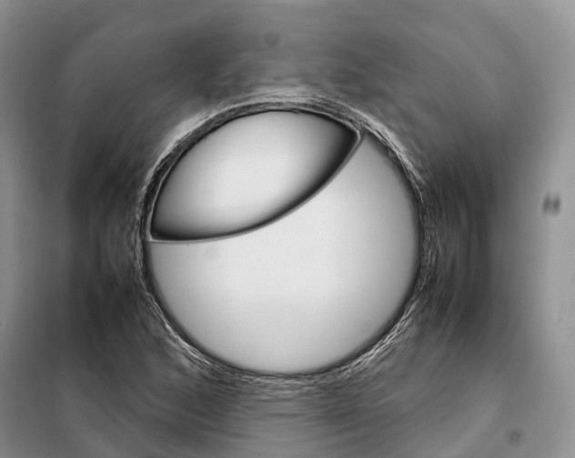 X0000098041168200804181248