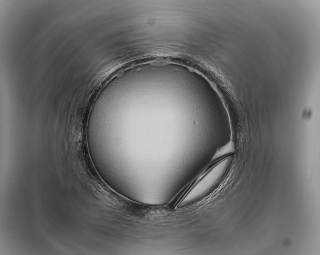 X0000098041169200804181248