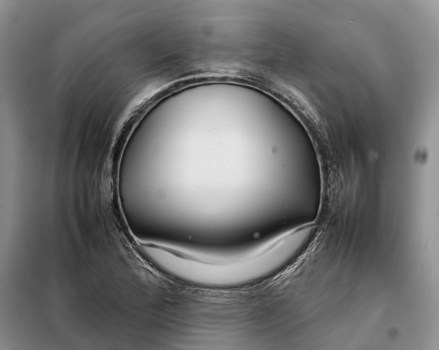 X0000098041172200804181248