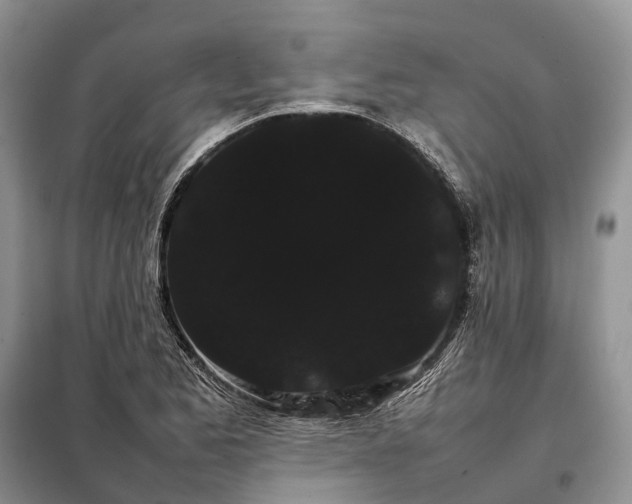 X0000098041173200804181248