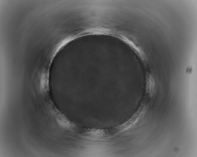 X0000098041174200804181248