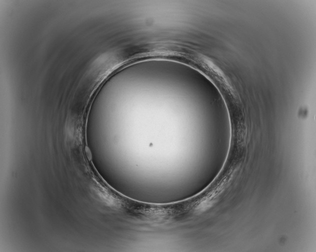 X0000098041177200804181248