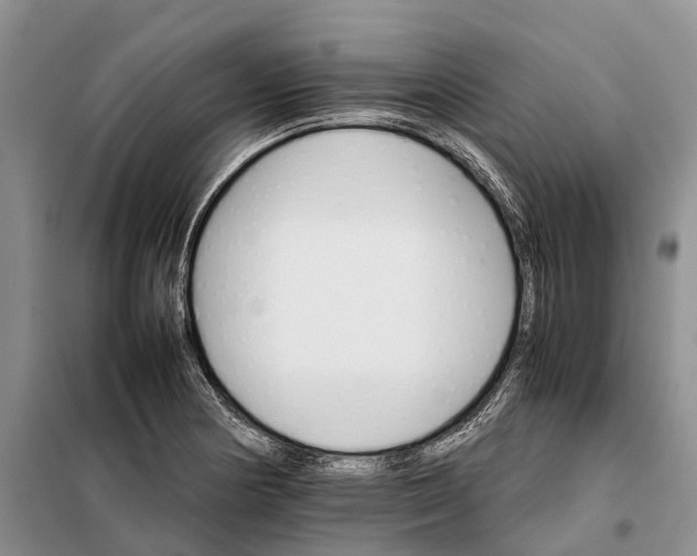 X0000098041178200804181248