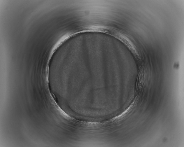 X0000098041180200804181248