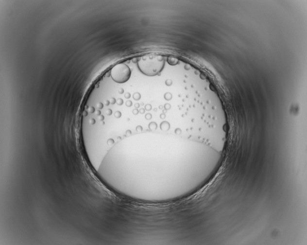 X0000098041182200804181248