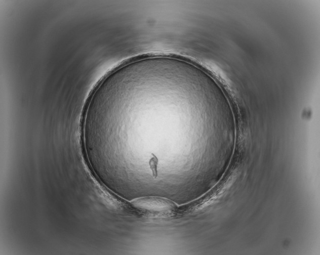 X0000098041183200804181248