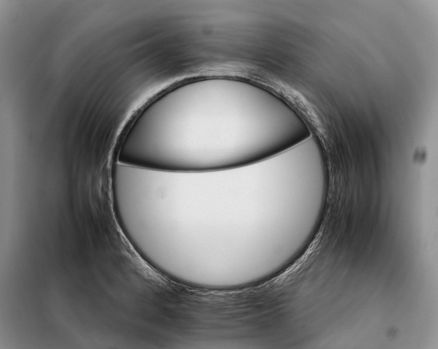 X0000098041184200804181248