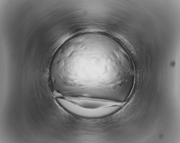 X0000098041185200804181248