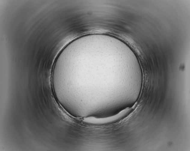 X0000098041186200804181248