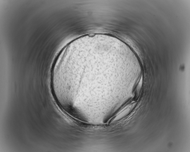 X0000098041187200804181248