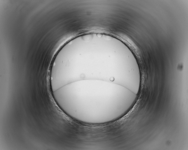 X0000098041190200804181248