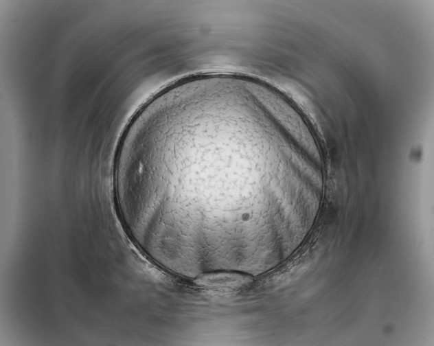 X0000098041191200804181248