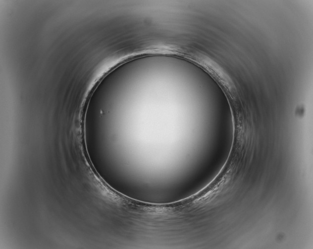 X0000098041192200804181248