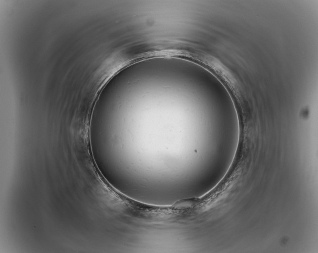 X0000098041193200804181248