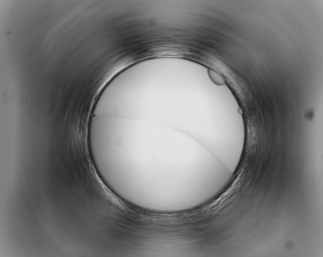 X0000098041194200804181248