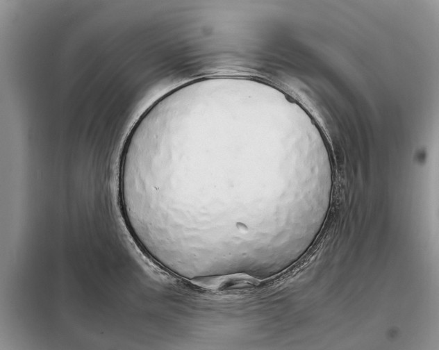 X0000098041195200804181248