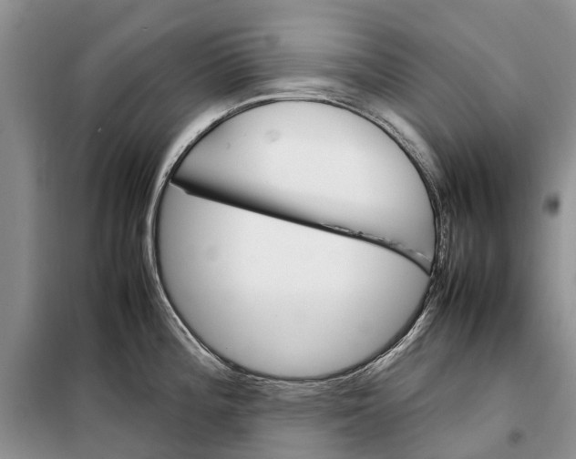 X0000098041196200804181248