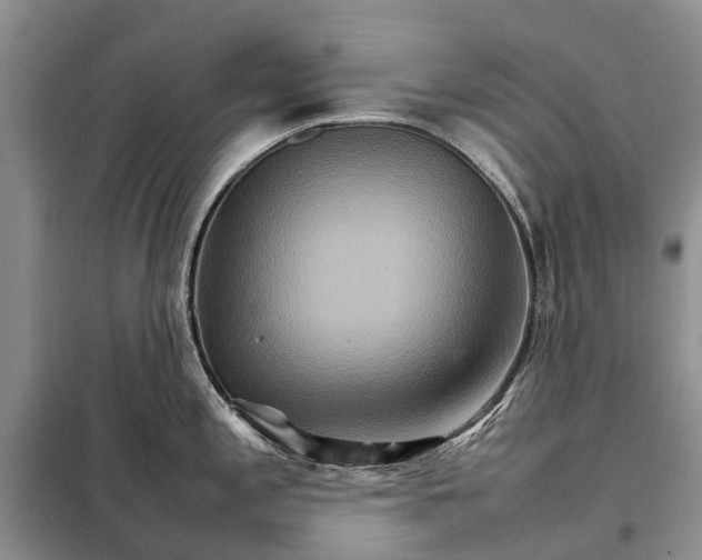 X0000098041197200804181247