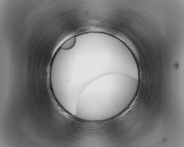 X0000098041198200804181247