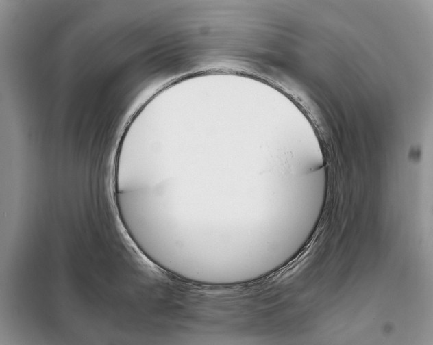 X0000098041199200804181247