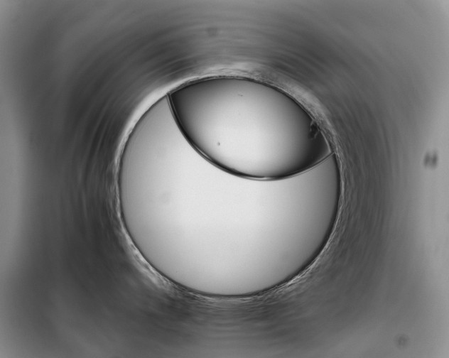 X0000098041200200804181247