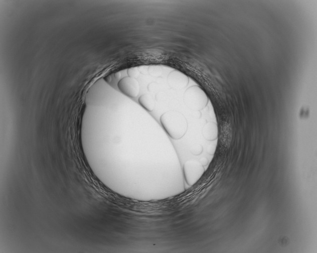 X0000098041201200804181247