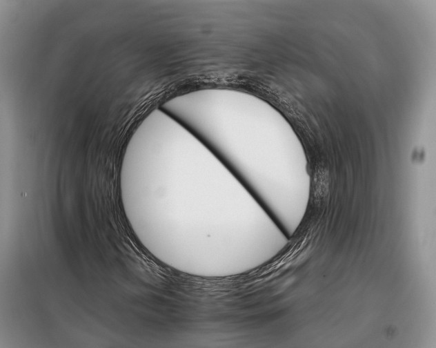 X0000098041202200804181247