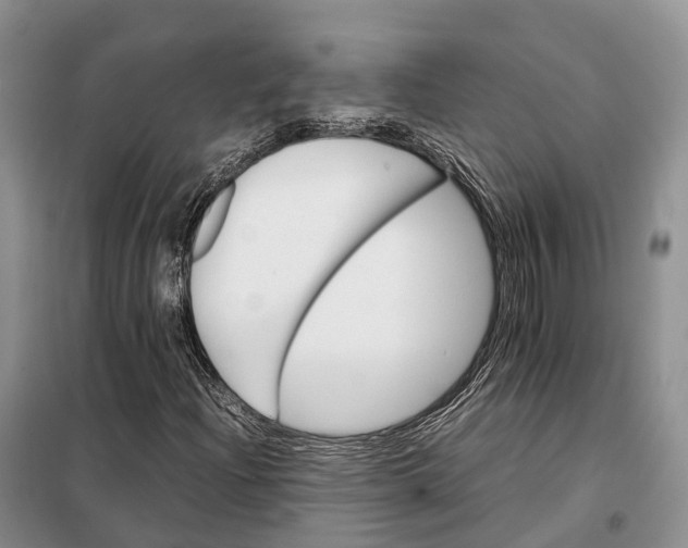 X0000098041204200804181247