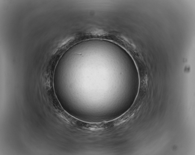 X0000098041205200804181247