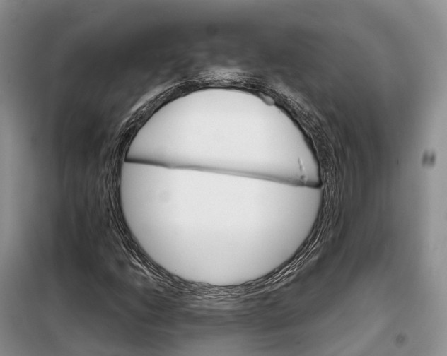 X0000098041206200804181247